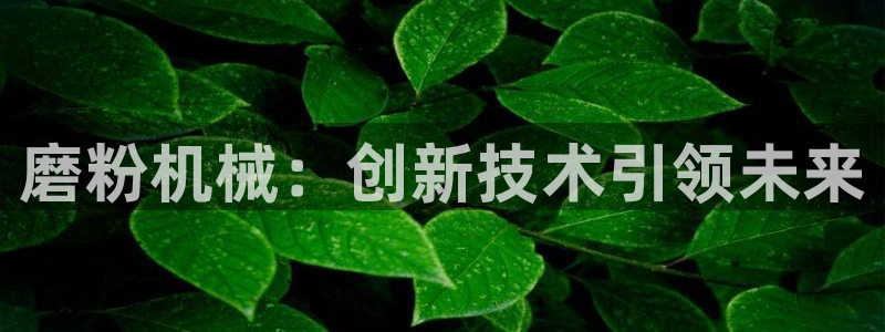 鸿运体育平台