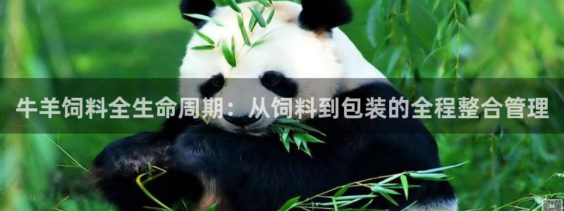 国际鸿运官方平台