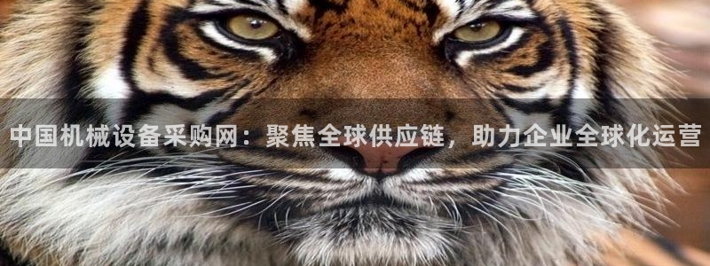 鸿运平台怎么赚钱