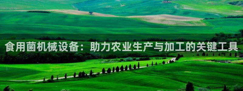鸿运棋牌直播平台