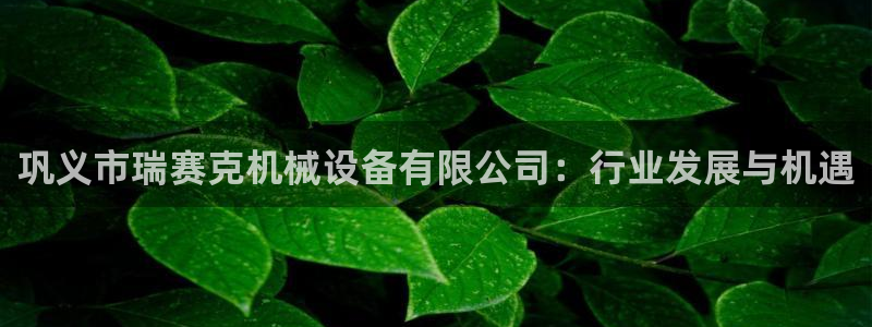 鸿运最新平台是什么