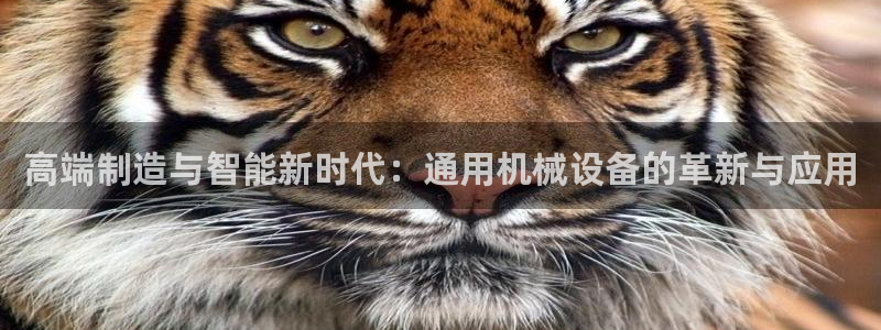 鸿运当头借款平台