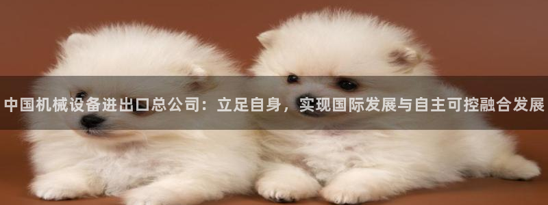 鸿运平台诈骗电话