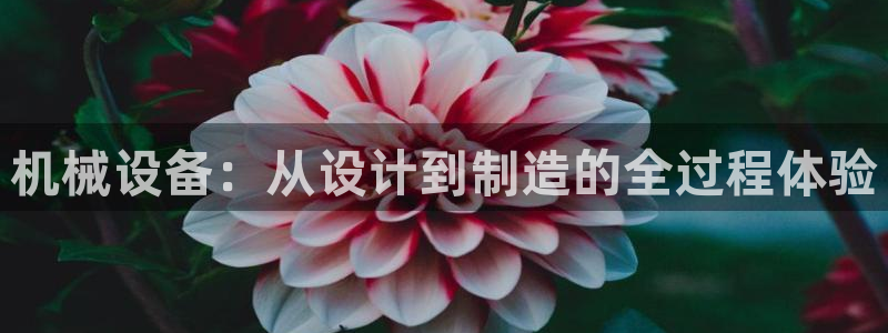 鸿运网平台