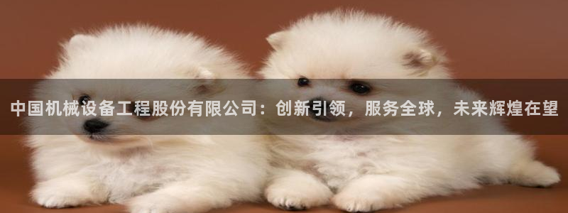 鸿运平台是诈骗平台