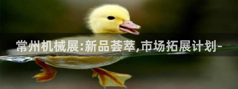 鸿运体育平台网址