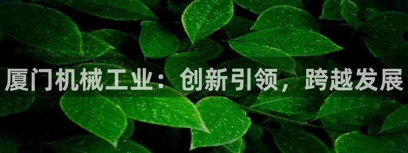 鸿运代还平台