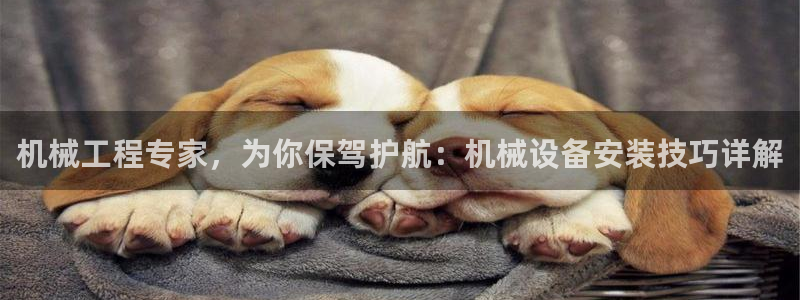 鸿运平台代理代