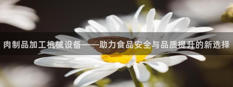 鸿运最新平台是什么