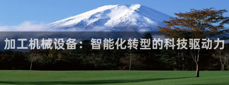 鸿运投资平台是什么平台
