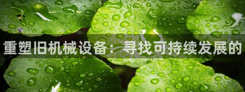 鸿运当头借款平台