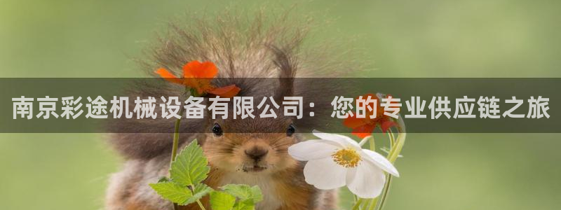 鸿运防水服务平台