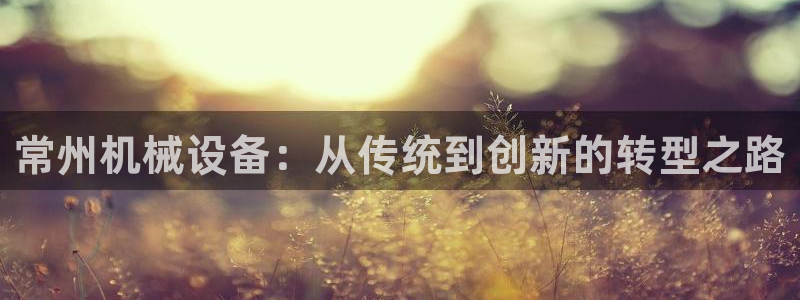 盛世鸿运是什么平台