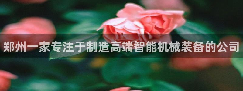 鸿运福彩平台
