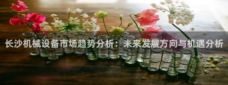 菲律宾鸿运彩票平台
