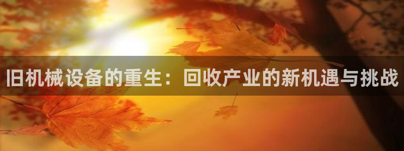 鸿运通宝平台