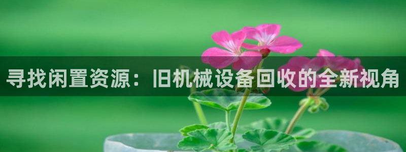 鸿运游戏直播游戏平台