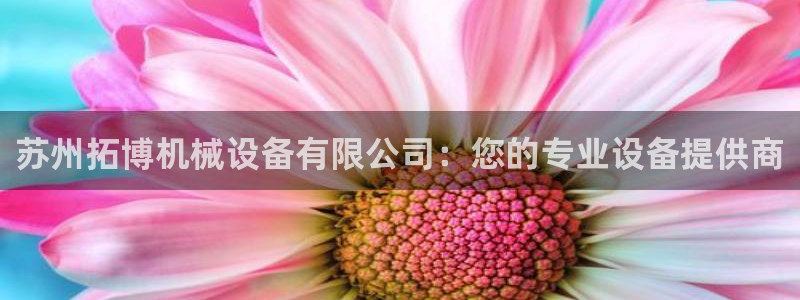 鸿运游戏直播平台