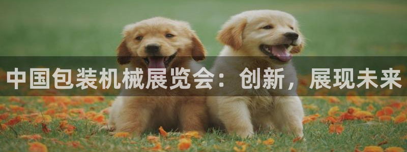 鸿运福星平台