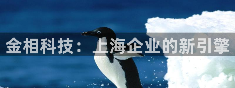 大发平台鸿运彩票