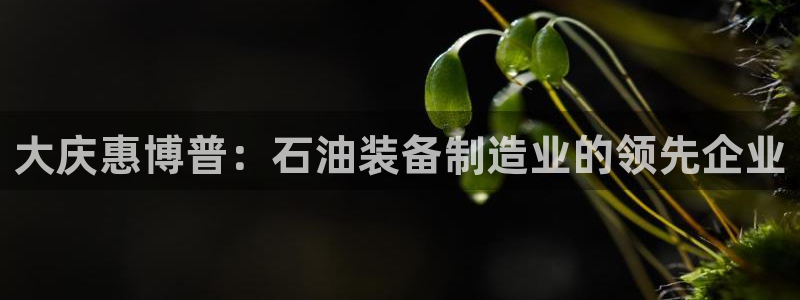 鸿运平台是大平台吗