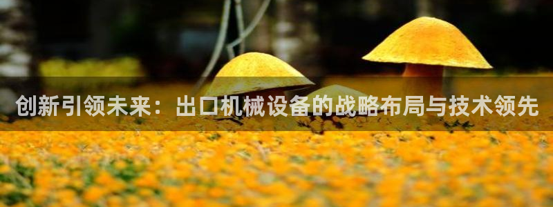 鸿运菜瞟平台