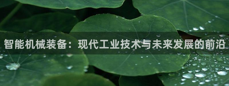 鸿运集团平台招聘要求