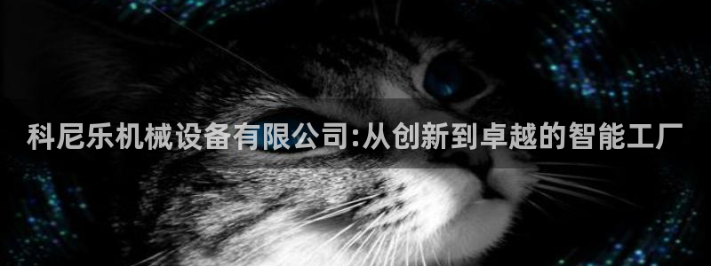 鸿运28投注平台
