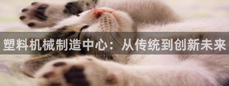 鸿运合拍平台