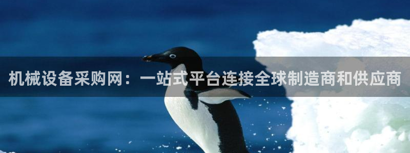 鸿运棋牌直播平台