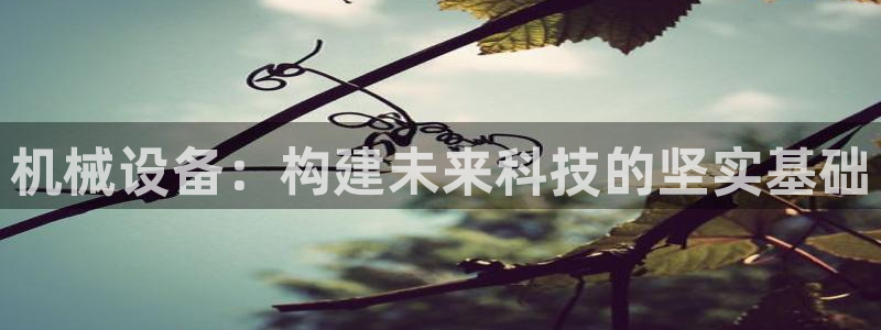 鸿运来平台
