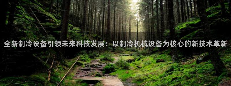 鸿运平台攻略