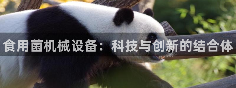 鸿运彩票平台快三