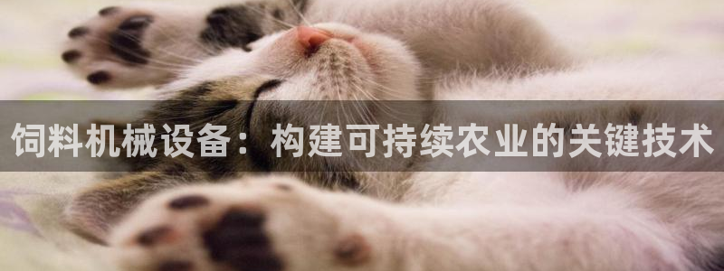 鸿运网上平台