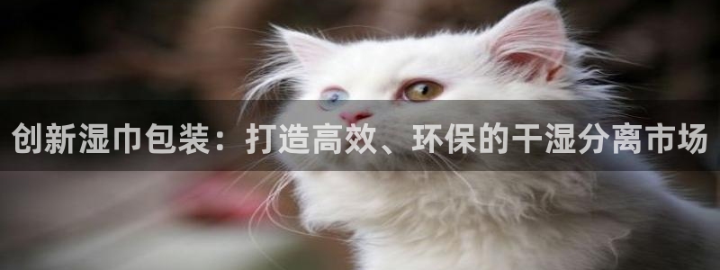 大发云鸿运平台