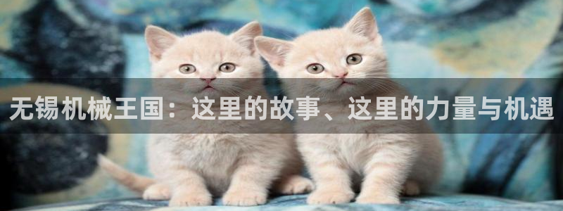鸿运权威彩票平台