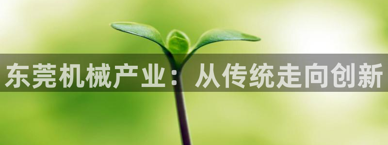 鸿运网938777平台