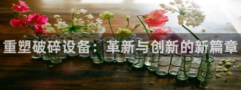 鸿运六月直播平台