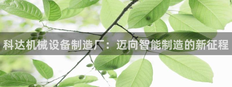 鸿运平台骗局揭秘