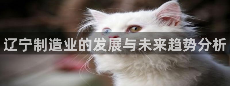 鸿运平台娱乐