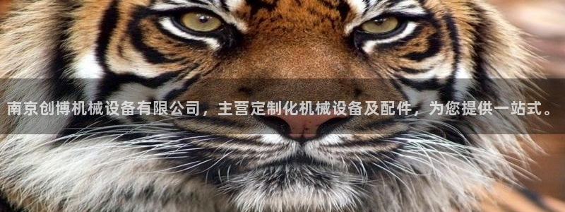 鸿运来是什么平台