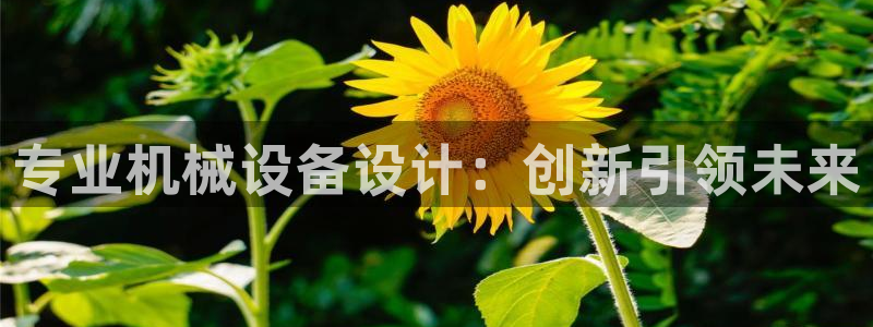 鸿运推广平台
