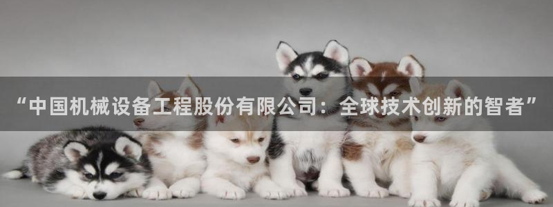 鸿运国际app平台