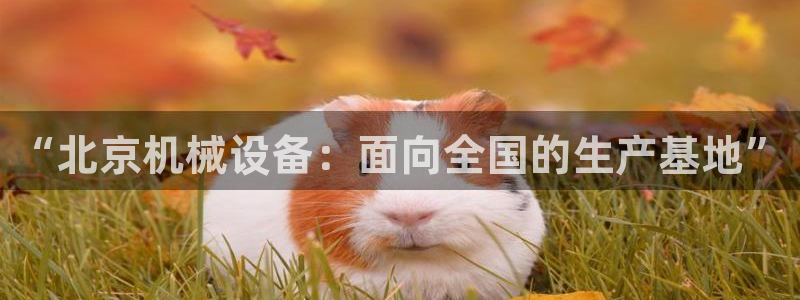 鸿运国际娱乐平台