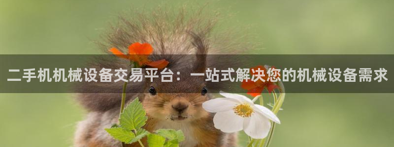 大发平台鸿运彩票