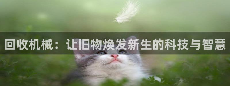 鸿运连锁管理平台