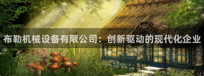 鸿运平台投资诈骗事件