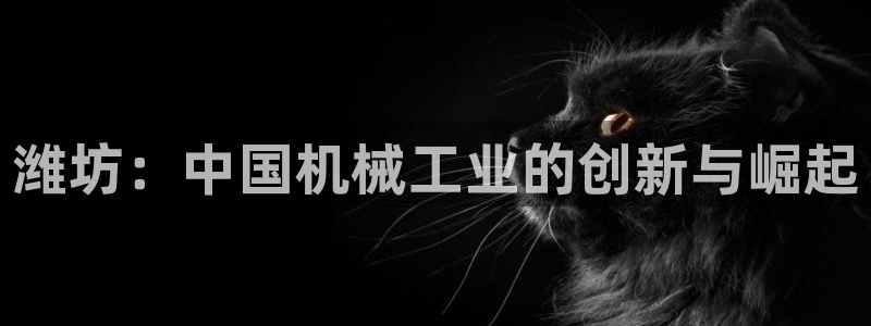 鸿运食品直播平台