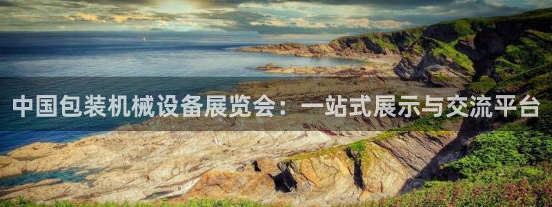 铜陵鸿运拍卖平台