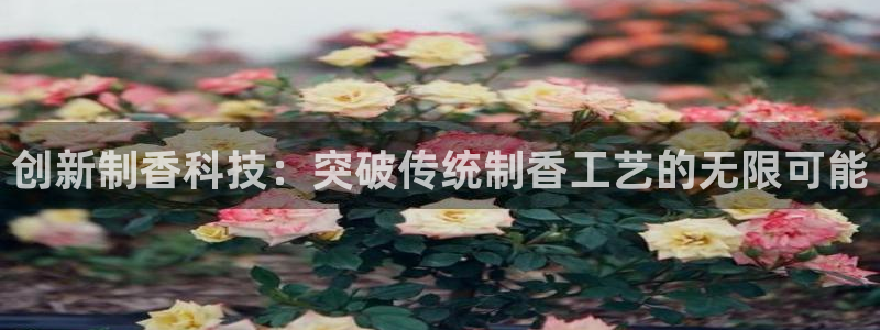 鸿运注册平台闪电